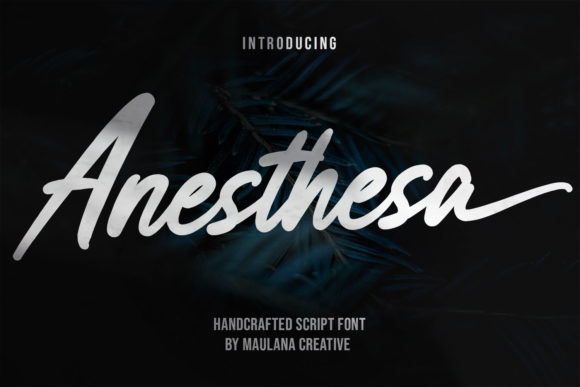 Anesthesa: A Paint-Brushed Script Font for Warm, Memorable Branding