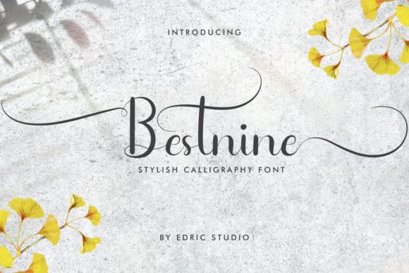 Bestnine: A Delicate Script Font for Editorial Elegance