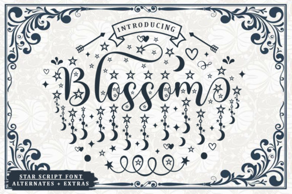Blossom Font: Elegant Script Handwritten Fonts for Small Business Branding