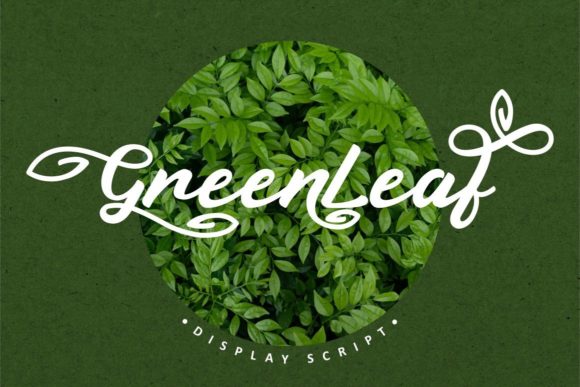 Green Leaf: A Script Handwritten Font for Authentic Branding