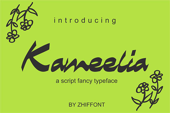 Kameelia: A Chic Script Handwritten Font for Real Business Branding