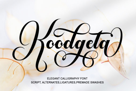 Koodgeta Script Font for Warm, Playful Branding
