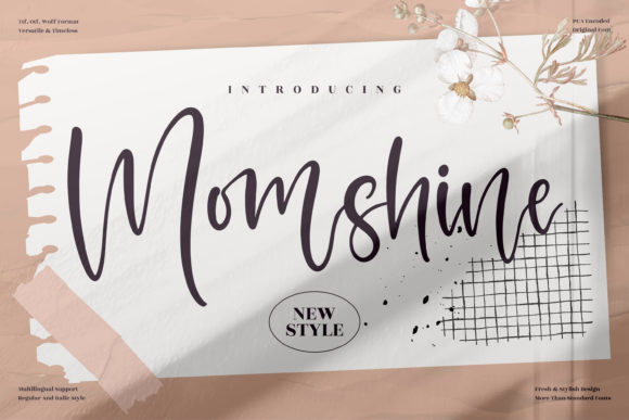 Momshine Script Font for Elegant Digital Branding